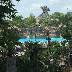 Meet your Posher, Misty